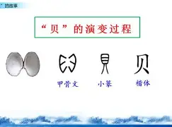 贝林厄姆8次T禁赛1场6细节曝光的简单介绍|FG棋牌