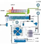 独家：贝林厄姆完整赛程请查收(贝林厄姆女友卡梅隆)|FG棋牌